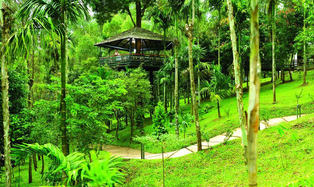 The Woods Resorts Wayanad Sultan Bathery Dış mekan fotoğraf