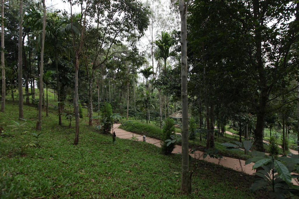 The Woods Resorts Wayanad Sultan Bathery Dış mekan fotoğraf