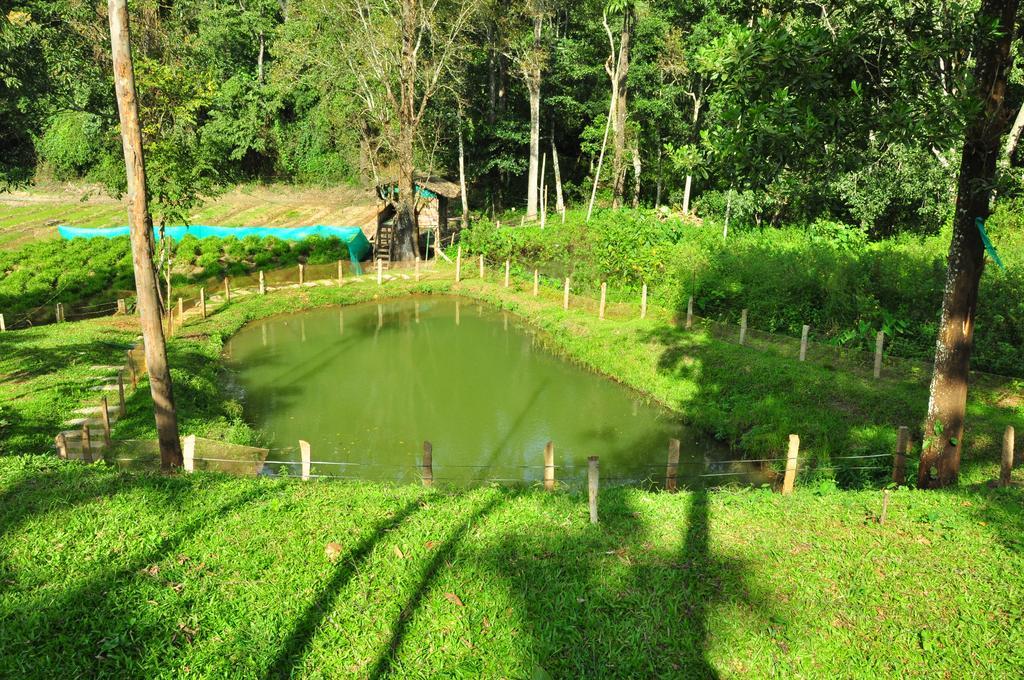 The Woods Resorts Wayanad Sultan Bathery Dış mekan fotoğraf