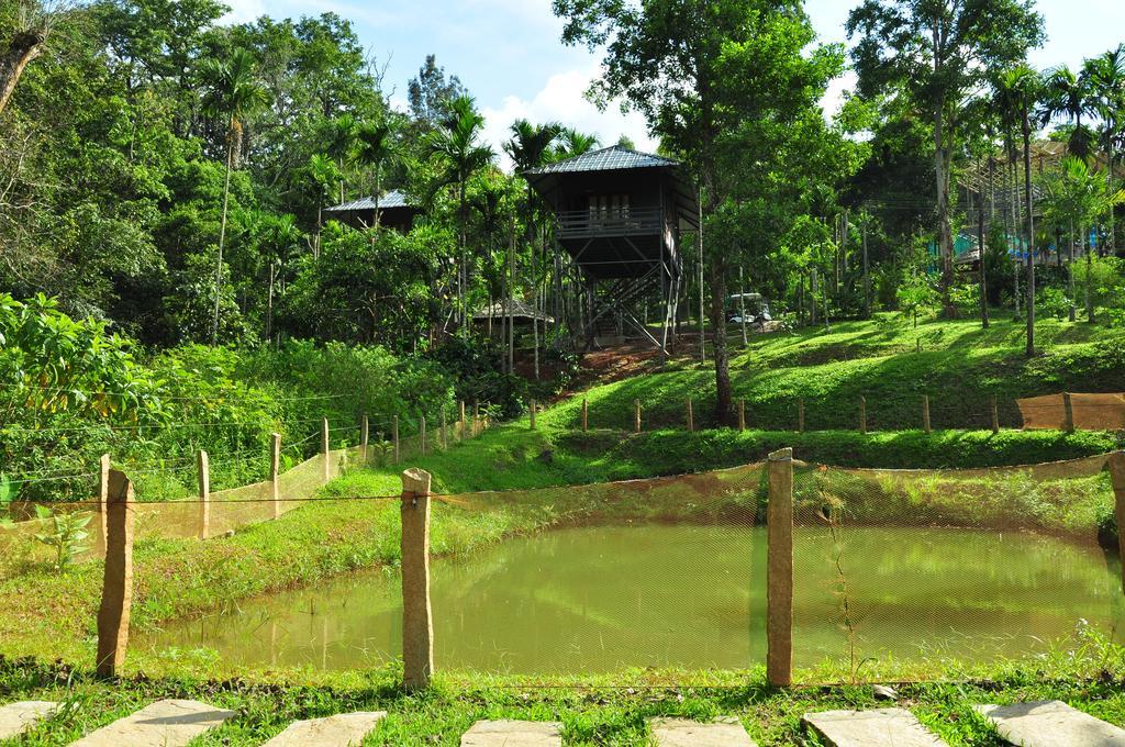 The Woods Resorts Wayanad Sultan Bathery Dış mekan fotoğraf