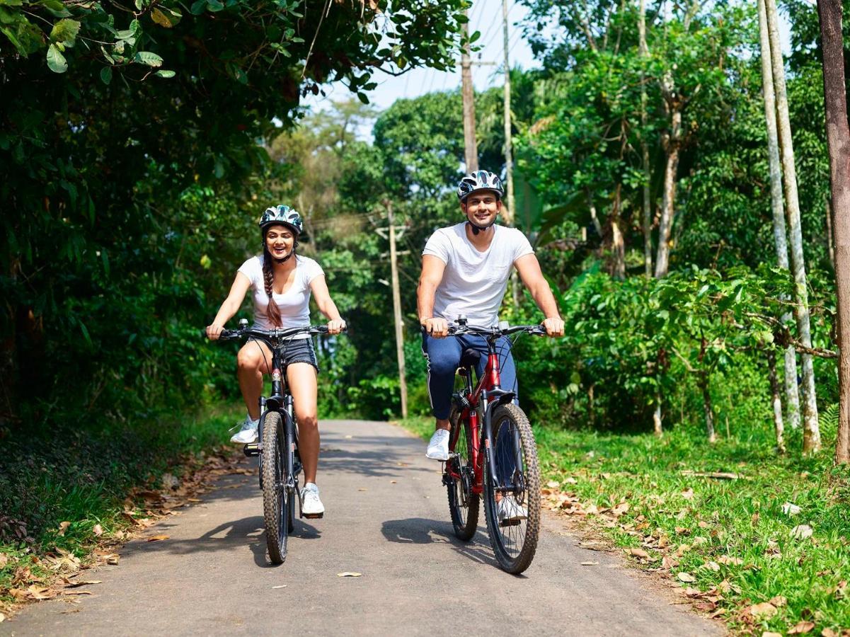 The Woods Resorts Wayanad Sultan Bathery Dış mekan fotoğraf
