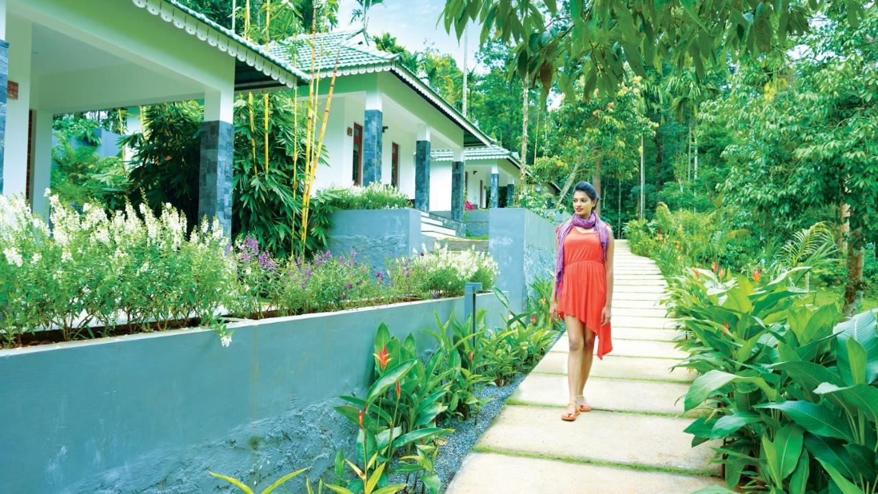 The Woods Resorts Wayanad Sultan Bathery Dış mekan fotoğraf