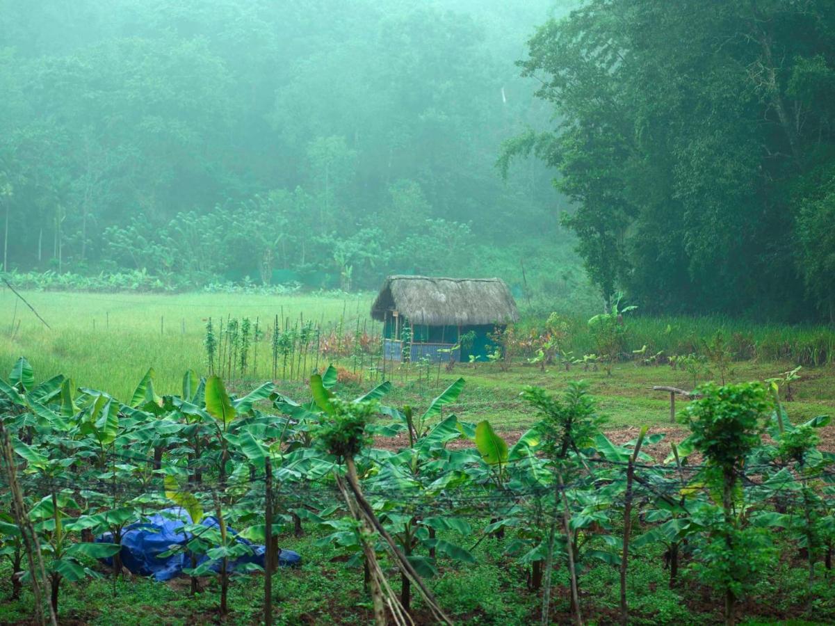 The Woods Resorts Wayanad Sultan Bathery Dış mekan fotoğraf