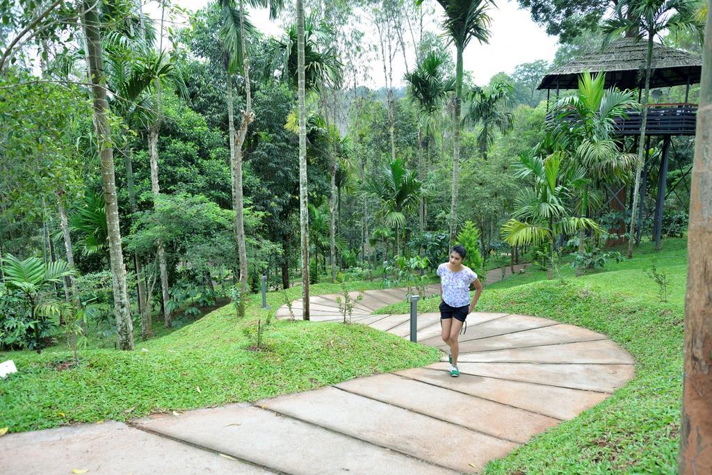 The Woods Resorts Wayanad Sultan Bathery Dış mekan fotoğraf