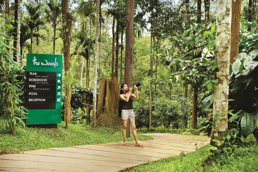 The Woods Resorts Wayanad Sultan Bathery Dış mekan fotoğraf