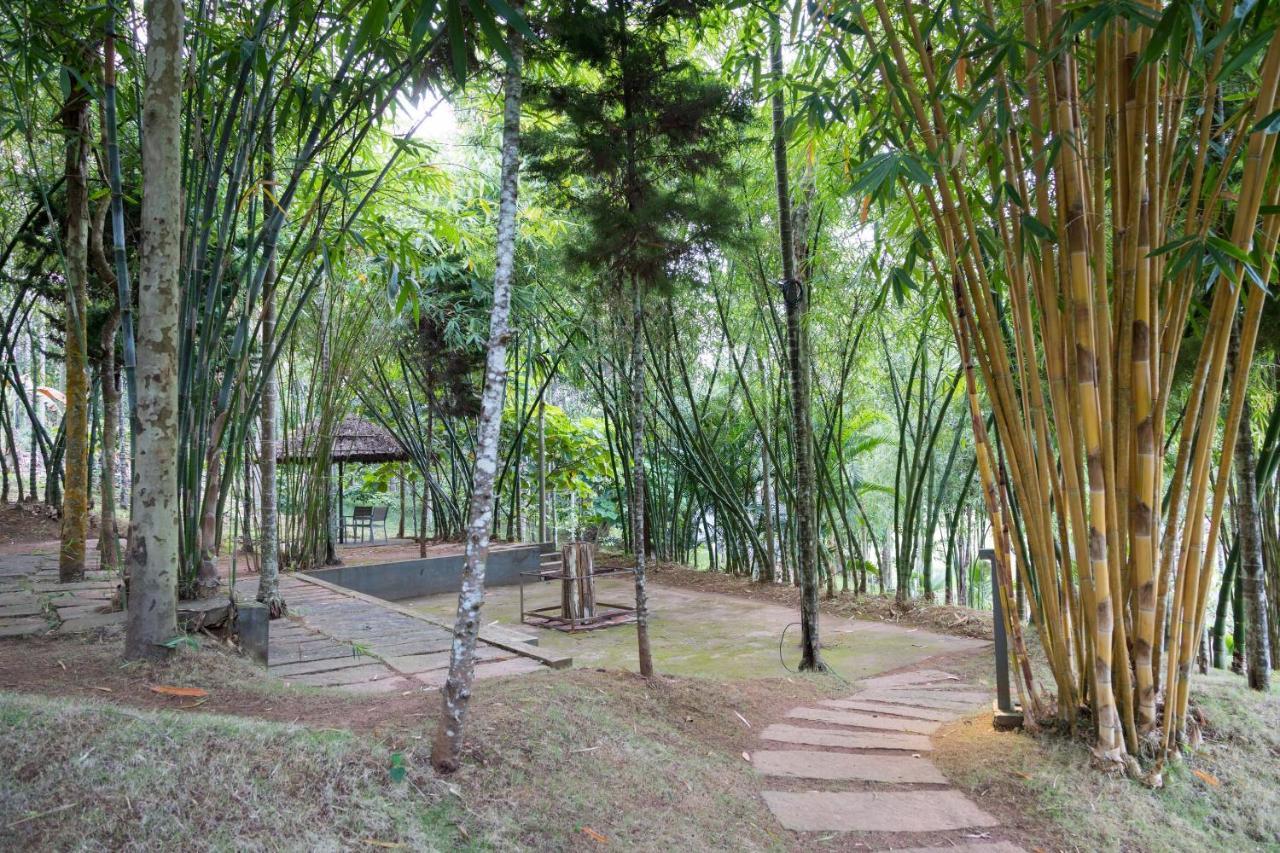 The Woods Resorts Wayanad Sultan Bathery Dış mekan fotoğraf