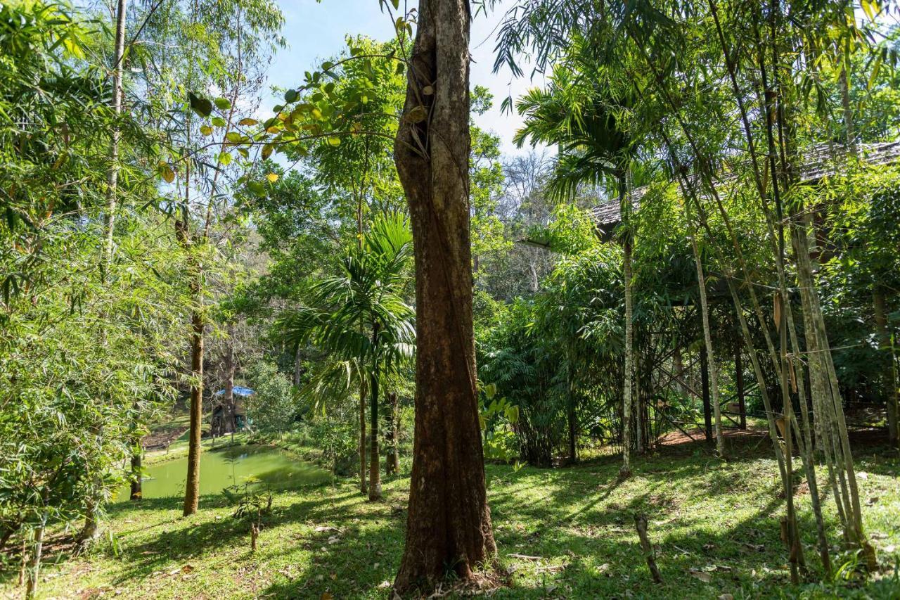 The Woods Resorts Wayanad Sultan Bathery Dış mekan fotoğraf